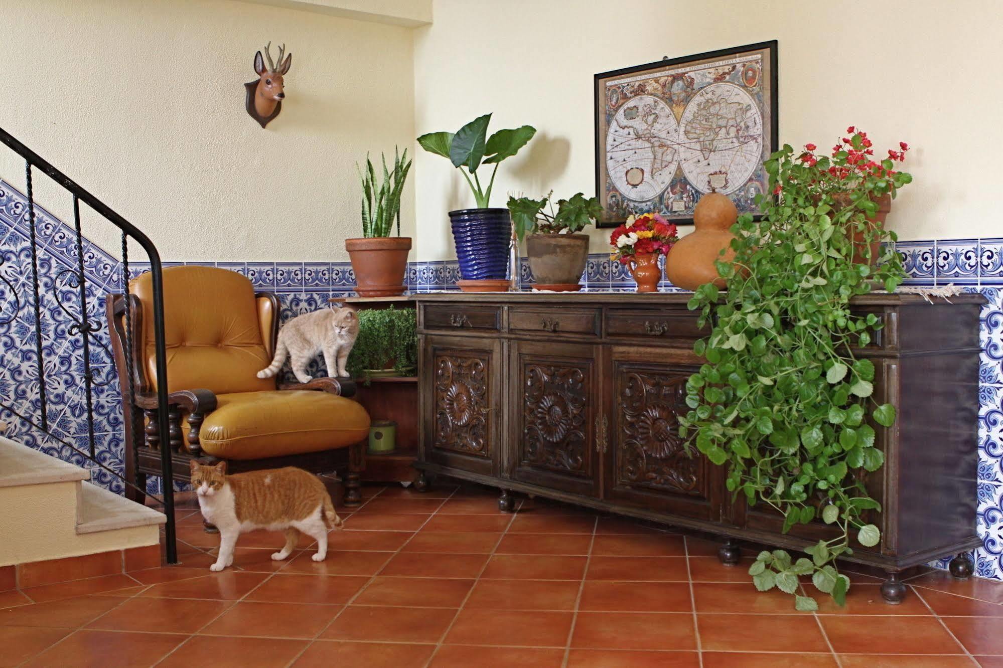 Vila Graciosa - Tranquility Oasis Lagos Eksteriør bilde